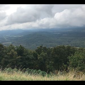 Meet your Posher, Gary